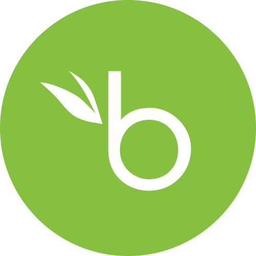 BambooHR logo
